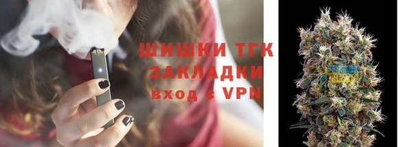 сатива Алзамай
