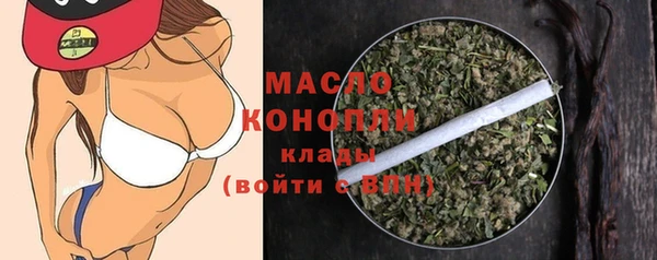 шишки Новодвинск