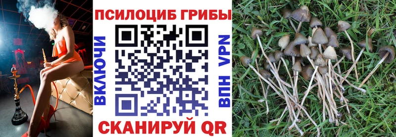 Галлюциногенные грибы прущие грибы  цена наркотик  Удомля 